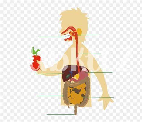 Interazioni Tra Flagyl E Altri Farmaci